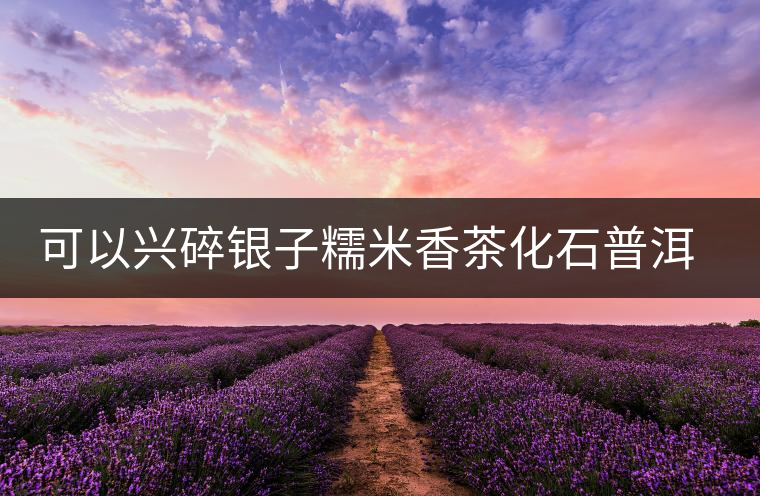 可以興碎銀子糯米香茶化石普洱茶熟茶特級易武古樹茶葉禮盒裝送禮