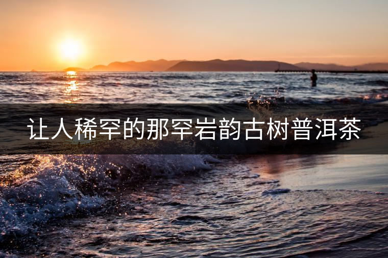 讓人稀罕的那罕巖韻古樹普洱茶