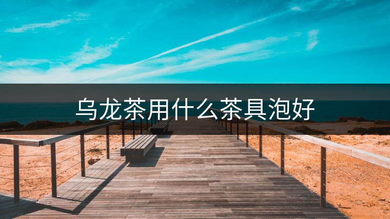 烏龍茶用什么茶具泡好