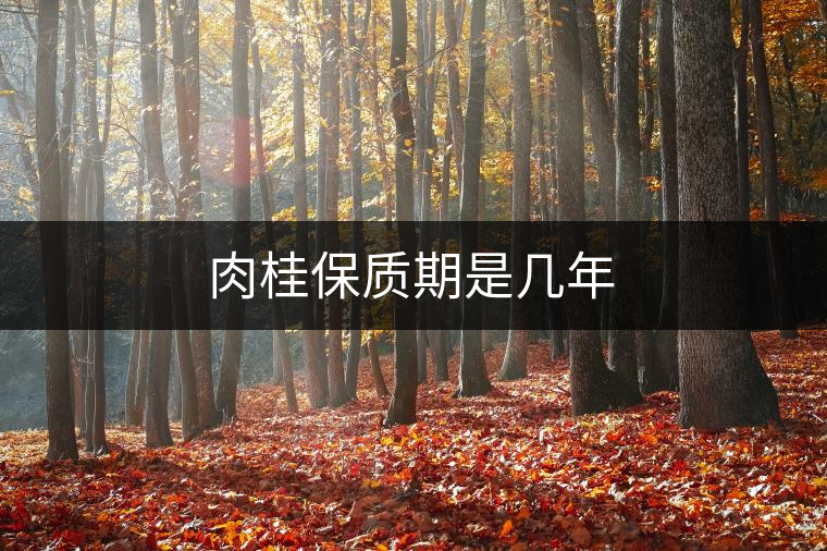 肉桂保質期是幾年 肉桂保質期是幾年