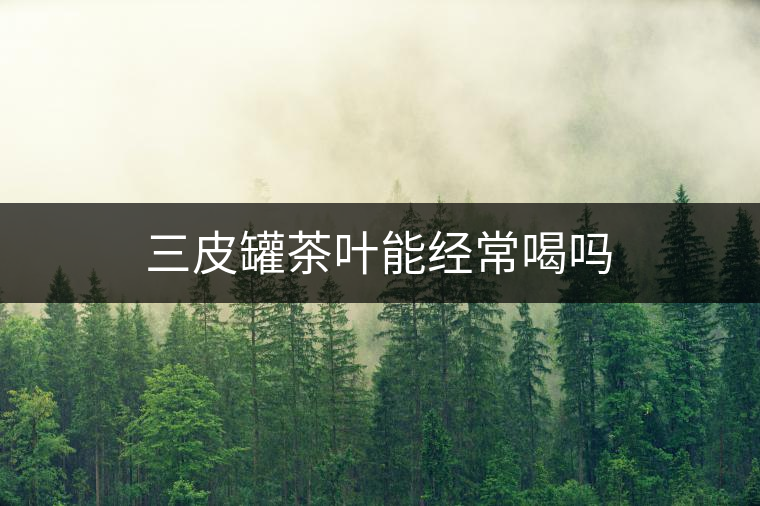 三皮罐茶葉能經常喝嗎