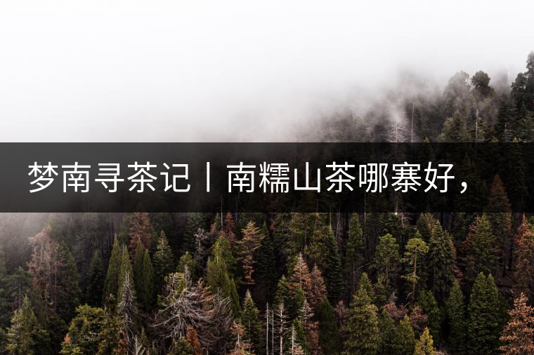夢南尋茶記丨南糯山茶哪寨好,半坡老寨數第一 夢南尋茶記丨南糯山茶哪寨好,半坡老寨數第一