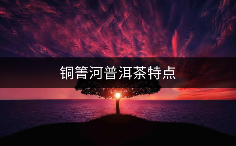 銅箐河普洱茶特點 銅箐河普洱茶特點