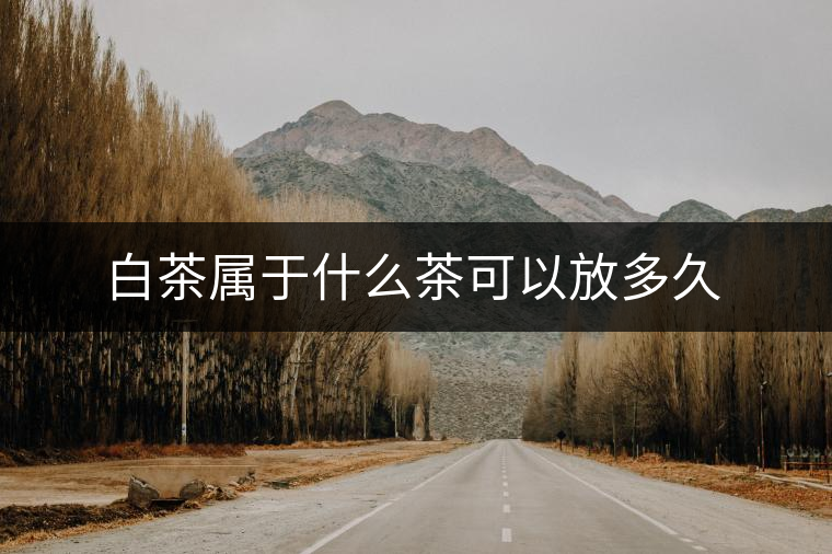 白茶屬于什么茶可以放多久 白茶屬于什么茶可以放多久