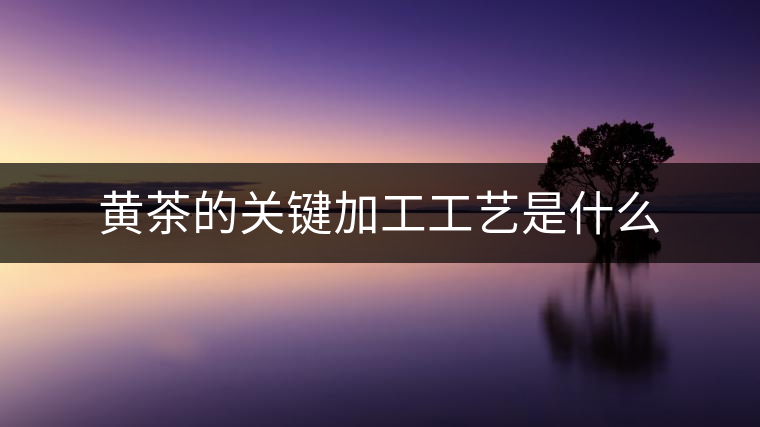 黃茶的關(guān)鍵加工工藝是什么