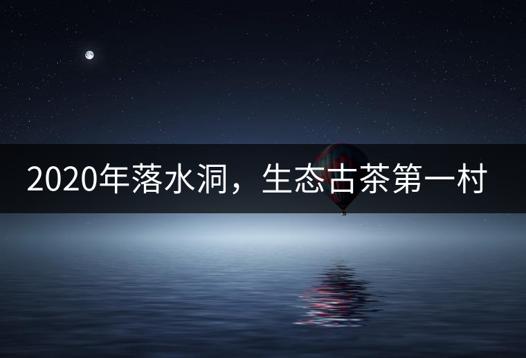 2020年落水洞，生態古茶第一村-易武中聘號