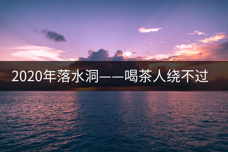 2020年落水洞——喝茶人繞不過的溫柔鄉(xiāng)!-易武中聘號 2020年落水洞——喝茶人繞不過的溫柔鄉(xiāng)!-易武中聘號