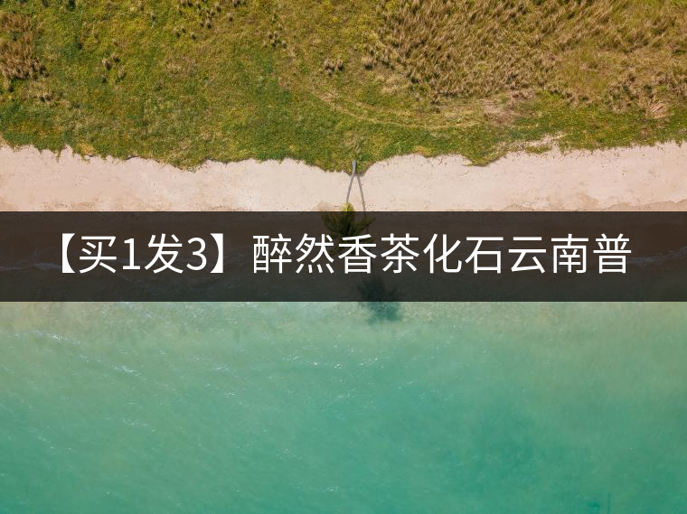 【買1發3】醉然香茶化石云南普洱茶碎銀子古樹茶糯米香茶葉共375g 【買1發3】醉然香茶化石云南普洱茶碎銀子古樹茶糯米香茶葉共375g