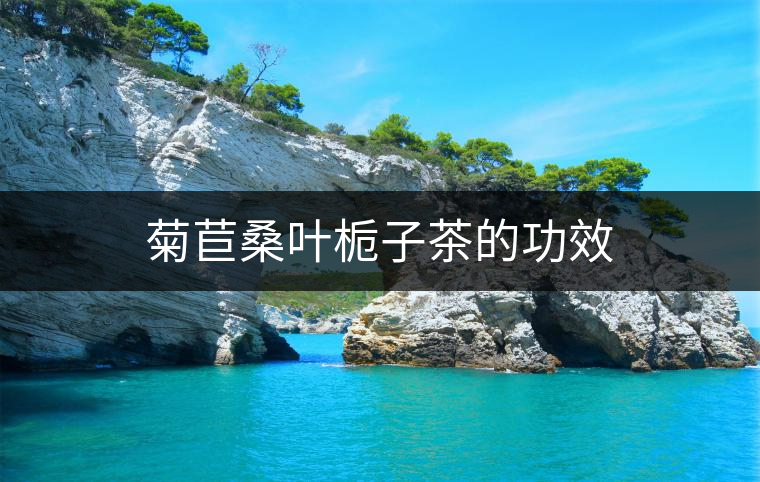 菊苣桑葉梔子茶的功效 菊苣桑葉梔子茶的功效