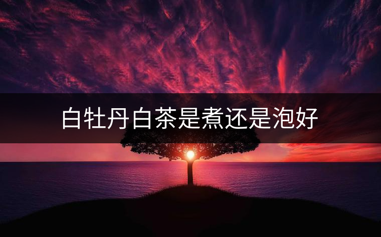 白牡丹白茶是煮還是泡好 白牡丹白茶是煮還是泡好