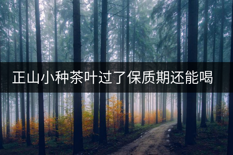 正山小種茶葉過了保質期還能喝嗎