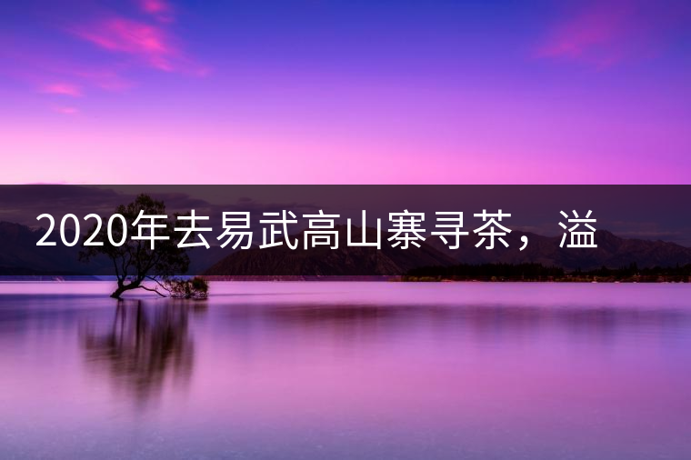 2020年去易武高山寨尋茶,溢滿茶香的古樹寨子-易武中聘號 2020年去易武高山寨尋茶,溢滿茶香的古樹寨子-易武中聘號