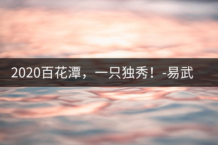 2020百花潭,一只獨秀!-易武中聘號 2020百花潭,一只獨秀!-易武中聘號