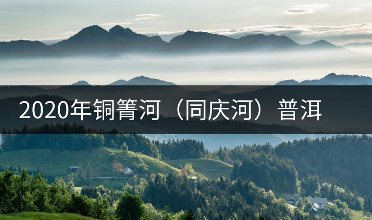 2020年銅箐河（同慶河）普洱茶，野味真難尋！-易武中聘號
