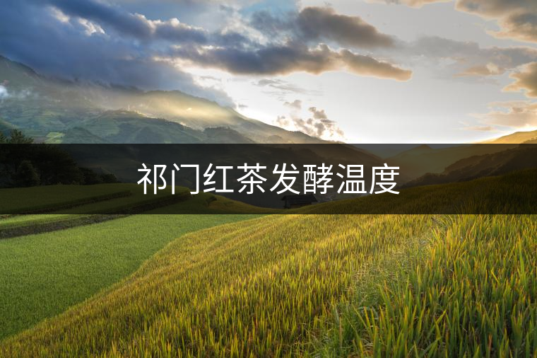 祁門紅茶發酵溫度 祁門紅茶發酵溫度