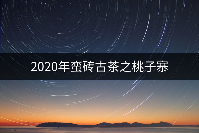 2020年蠻磚古茶之桃子寨