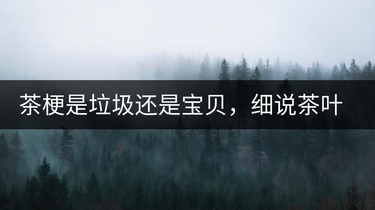 茶梗是垃圾還是寶貝,細說茶葉的那些梗 茶梗是垃圾還是寶貝,細說茶葉的那些梗