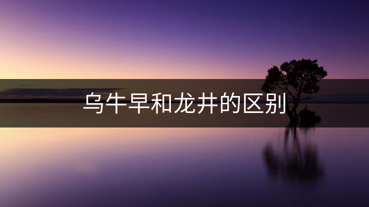 烏牛早和龍井的區別