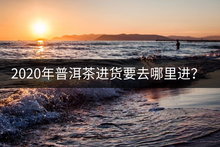 2020年普洱茶進(jìn)貨要去哪里進(jìn)？-易武中聘號(hào)
