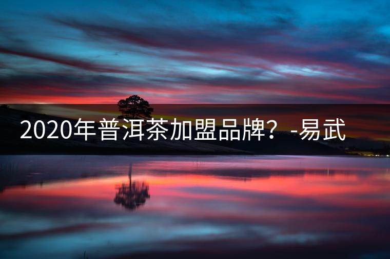2020年普洱茶加盟品牌?-易武中聘號 2020年普洱茶加盟品牌?-易武中聘號