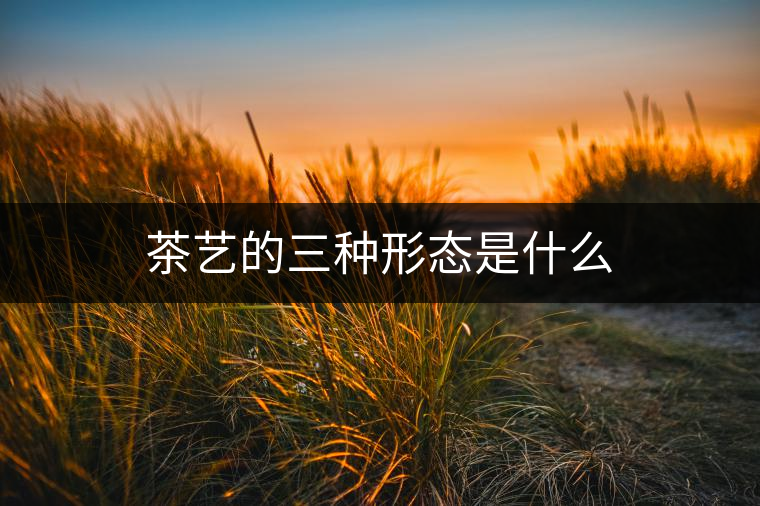 茶藝的三種形態是什么 茶藝的三種形態是什么