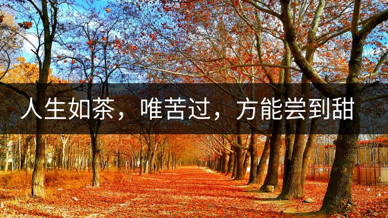 人生如茶，唯苦過，方能嘗到甜滋味