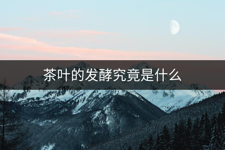 茶葉的發酵究竟是什么