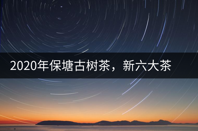 2020年保塘古樹茶,新六大茶山之勐宋茶佼佼者-易武中聘號 2020年保塘古樹茶,新六大茶山之勐宋茶佼佼者-易武中聘號