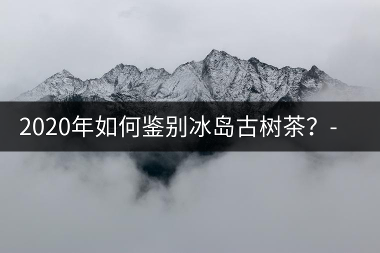 2020年如何鑒別冰島古樹茶？-易武中聘號(hào)