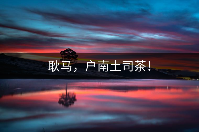 耿馬，戶南土司茶！