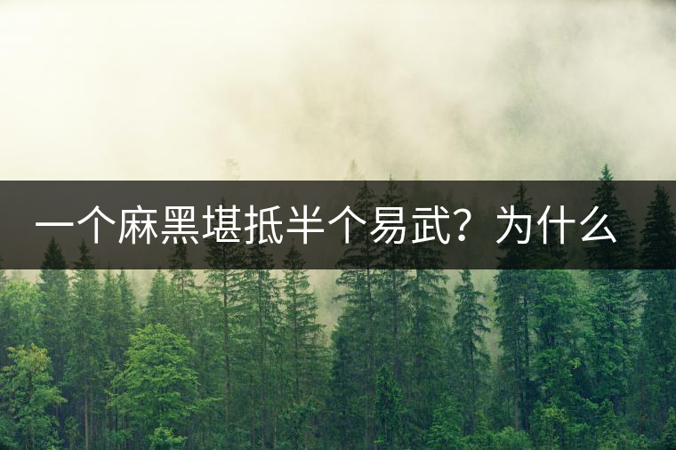 一個麻黑堪抵半個易武?為什么這么好喝? 一個麻黑堪抵半個易武?為什么這么好喝?