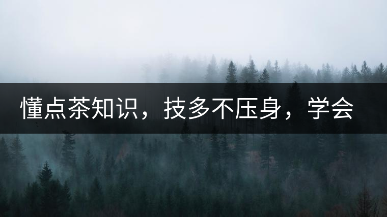 懂點茶知識,技多不壓身,學會這些秒變茶藝高手 懂點茶知識,技多不壓身,學會這些秒變茶藝高手