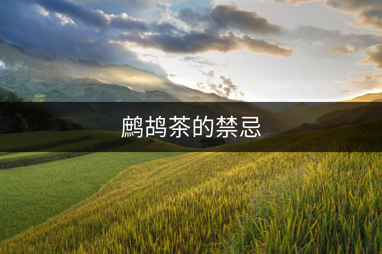 鷓鴣茶的禁忌 鷓鴣茶的禁忌