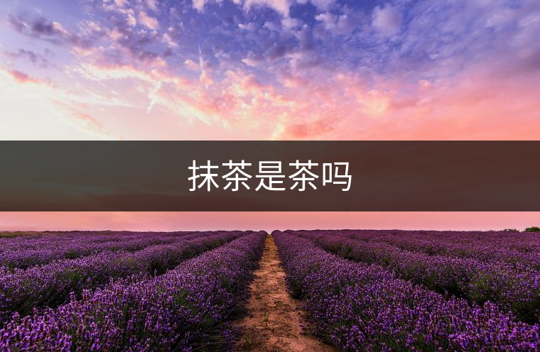 抹茶是茶嗎 抹茶是茶嗎