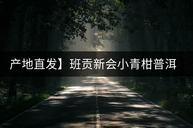 產地直發】班貢新會小青柑普洱茶柑普茶陳皮熟茶茶葉桔橘宮廷特級 產地直發】班貢新會小青柑普洱茶柑普茶陳皮熟茶茶葉桔橘宮廷特級