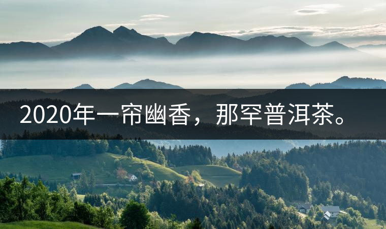 2020年一簾幽香,那罕普洱茶。-易武中聘號 2020年一簾幽香,那罕普洱茶。-易武中聘號