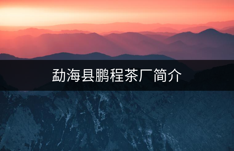 勐海縣鵬程茶廠簡介