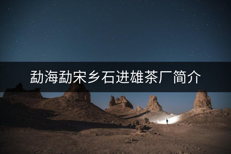 勐海勐宋鄉(xiāng)石進(jìn)雄茶廠簡(jiǎn)介