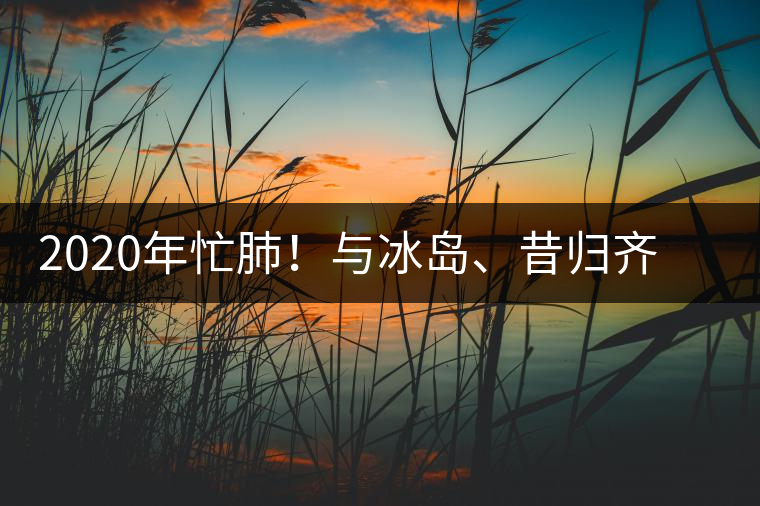 2020年忙肺！與冰島、昔歸齊名的普洱茶，到底是什么味道？-易武中聘號