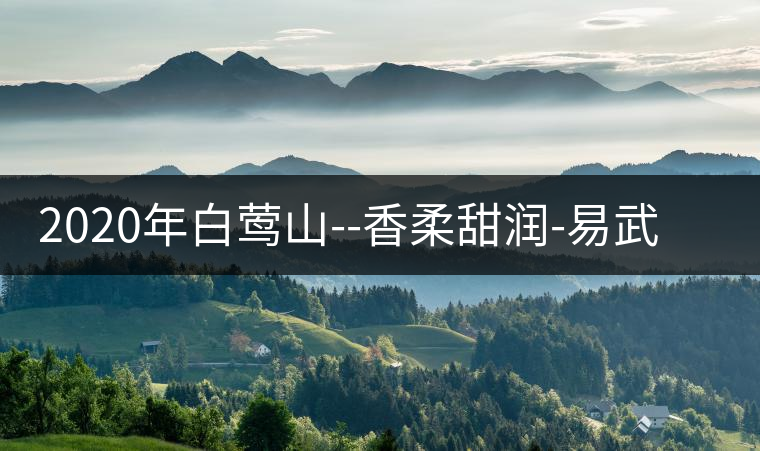 2020年白鶯山--香柔甜潤-易武中聘號