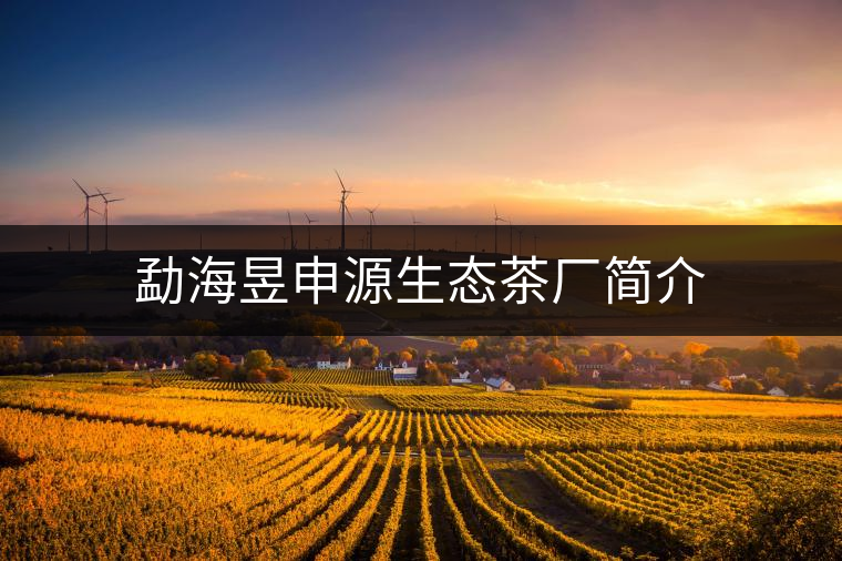 勐海昱申源生態茶廠簡介
