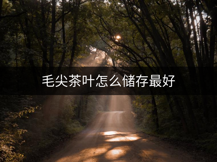 毛尖茶葉怎么儲(chǔ)存最好 毛尖茶葉怎么儲(chǔ)存最好