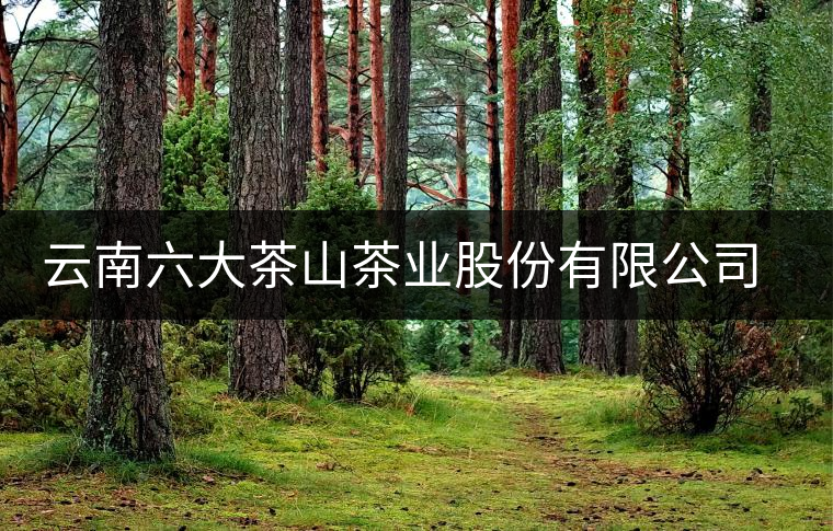 云南六大茶山茶業股份有限公司勐海普洱茶廠簡介 云南六大茶山茶業股份有限公司勐海普洱茶廠簡介