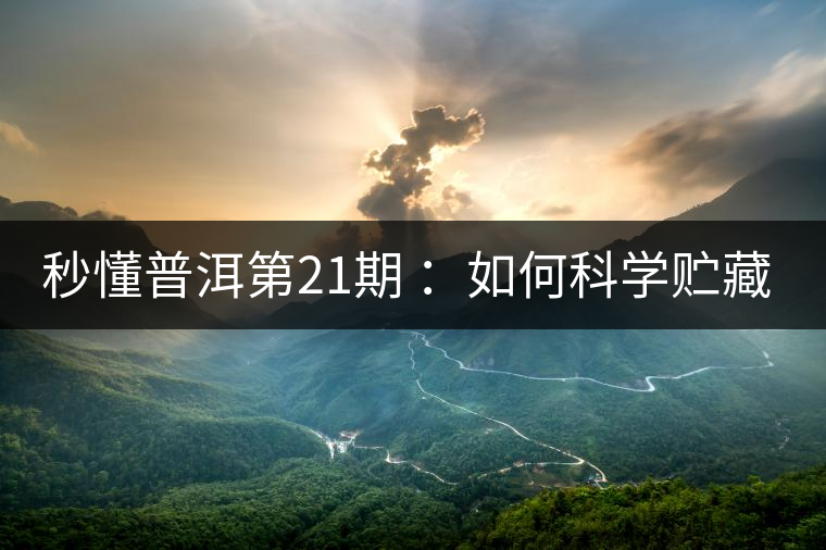 秒懂普洱第21期 ：如何科學貯藏普洱茶？