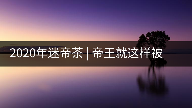 2020年迷帝茶 | 帝王就這樣被迷住了？-易武中聘號