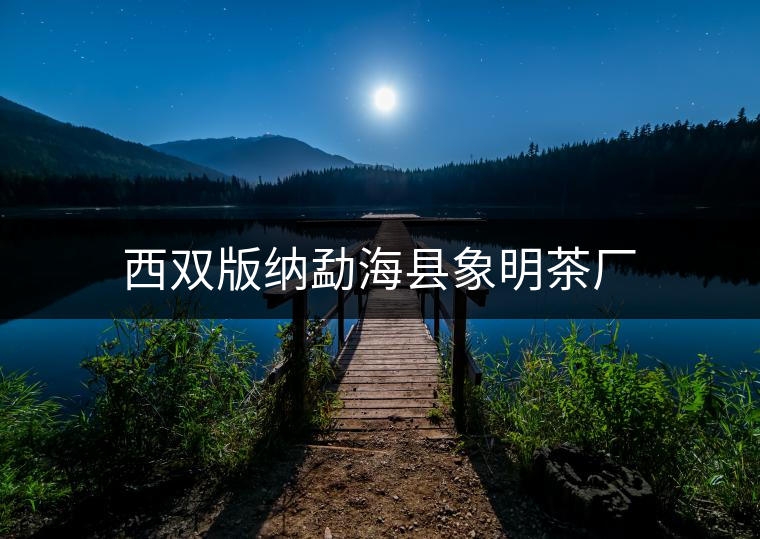 西雙版納勐海縣象明茶廠