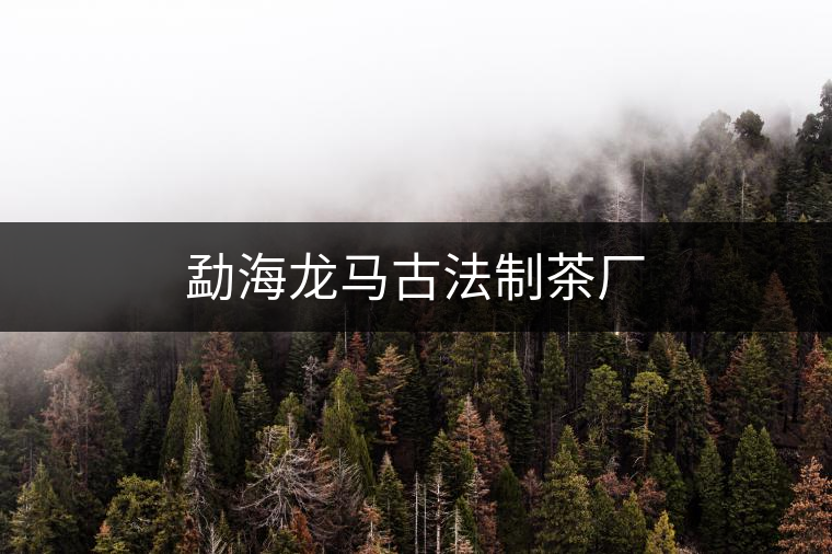 勐海龍馬古法制茶廠 勐海龍馬古法制茶廠