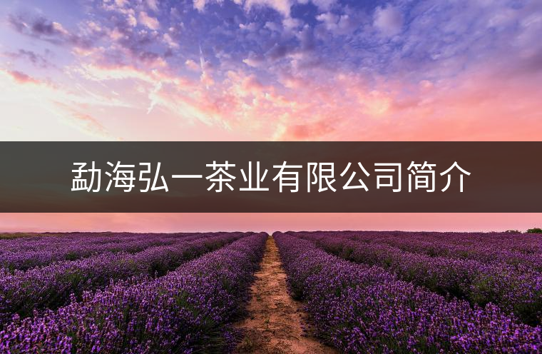 勐海弘一茶業有限公司簡介