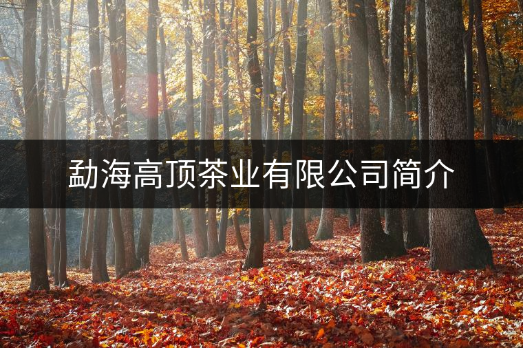 勐海高頂茶業有限公司簡介