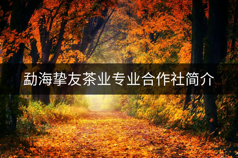勐海摯友茶業專業合作社簡介 勐海摯友茶業專業合作社簡介